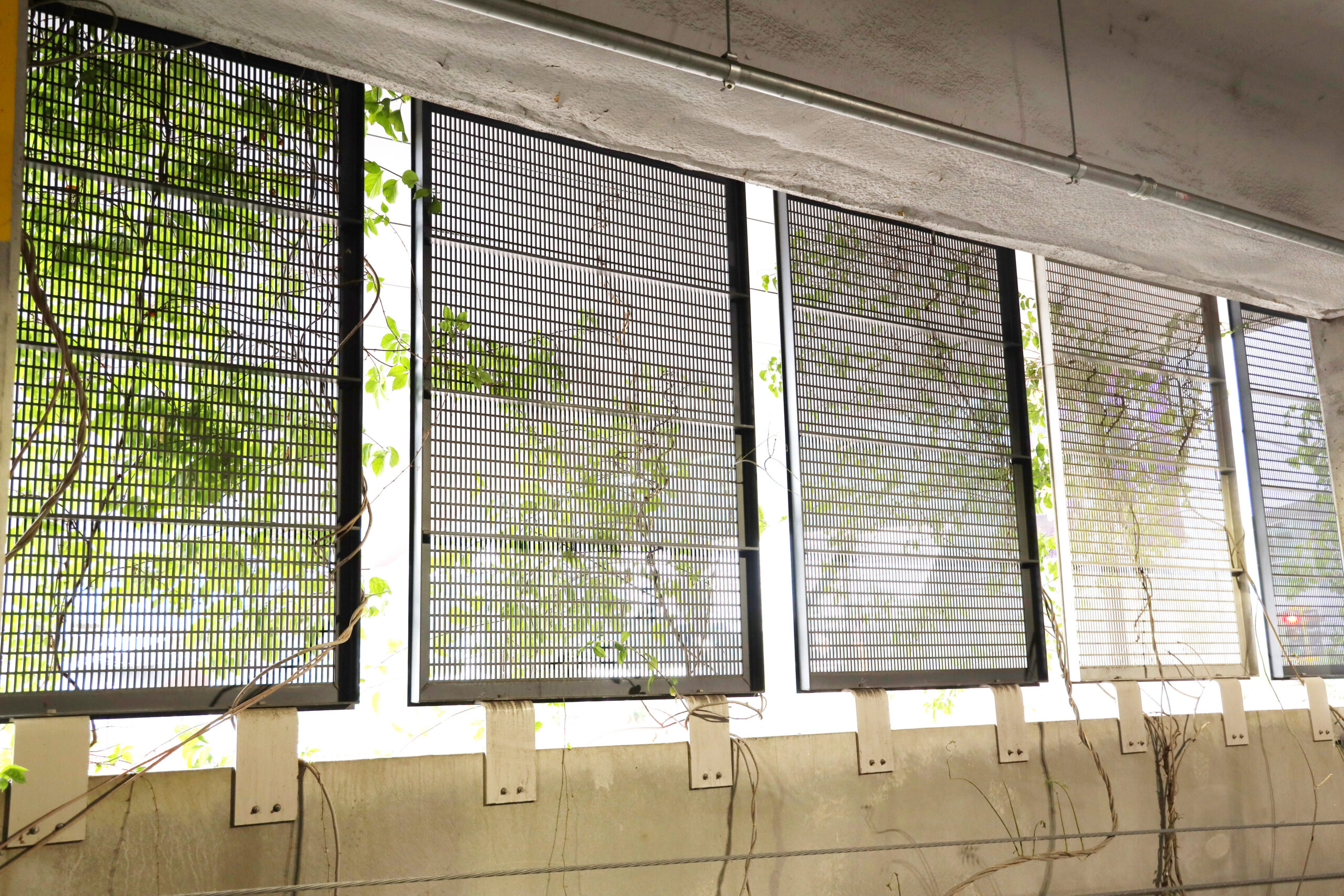 wiremesh living greenwall on Mills Fleet Farm parking Garage